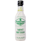 Fee Brothers Mint Bitters 150ml