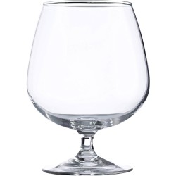 Hostalvia Cognac Glass 76cl | Spirits Glassware