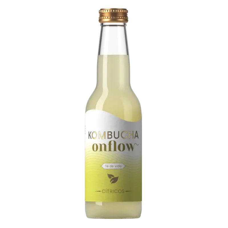 Kombucha Onflow Agrumes 33cl