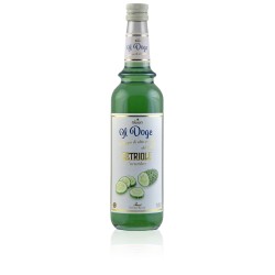 IL Doge Cucumber Syrup 70cl | Fresh Flavor