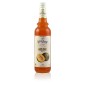 Sirop Melon IL Doge 70cl