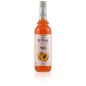 IL Doge Peach Fruit Syrup 70cl