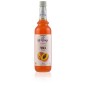 IL Doge Syrup Peach Fruit 70cl