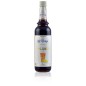 IL Doge Lemon Ice Tea Syrup 70 cl