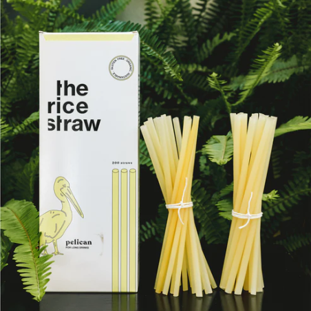 Pailles en Riz Écologiques