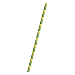 Bamboo Paper Straws