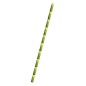 Bamboo Design Paper Straws Bamboo Design Paper Straws