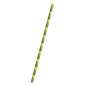 Bamboo Paper Straws