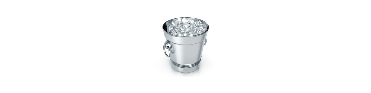 Ice Bucket