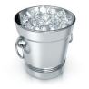 Ice Bucket