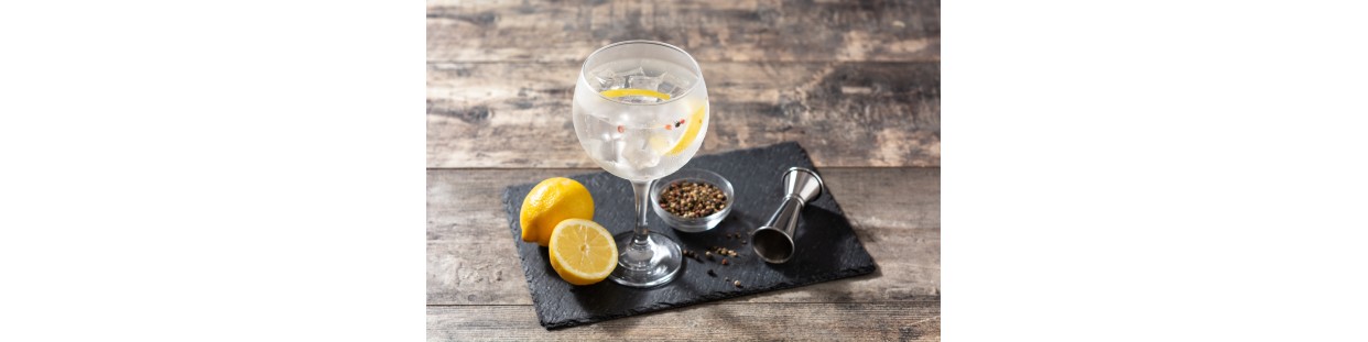 Acheter Gin Premium en Ligne| Sélection de Gins Haut de Gamme