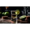 Tequilas & Mezcal Auténticos