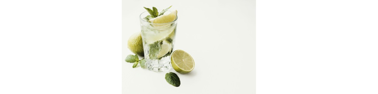 Mojito Cup Cover