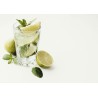 Mojito Cup Cover